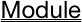 Module